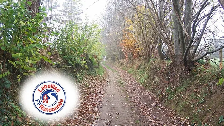 fougerolles randonnee circuit claire fontaine