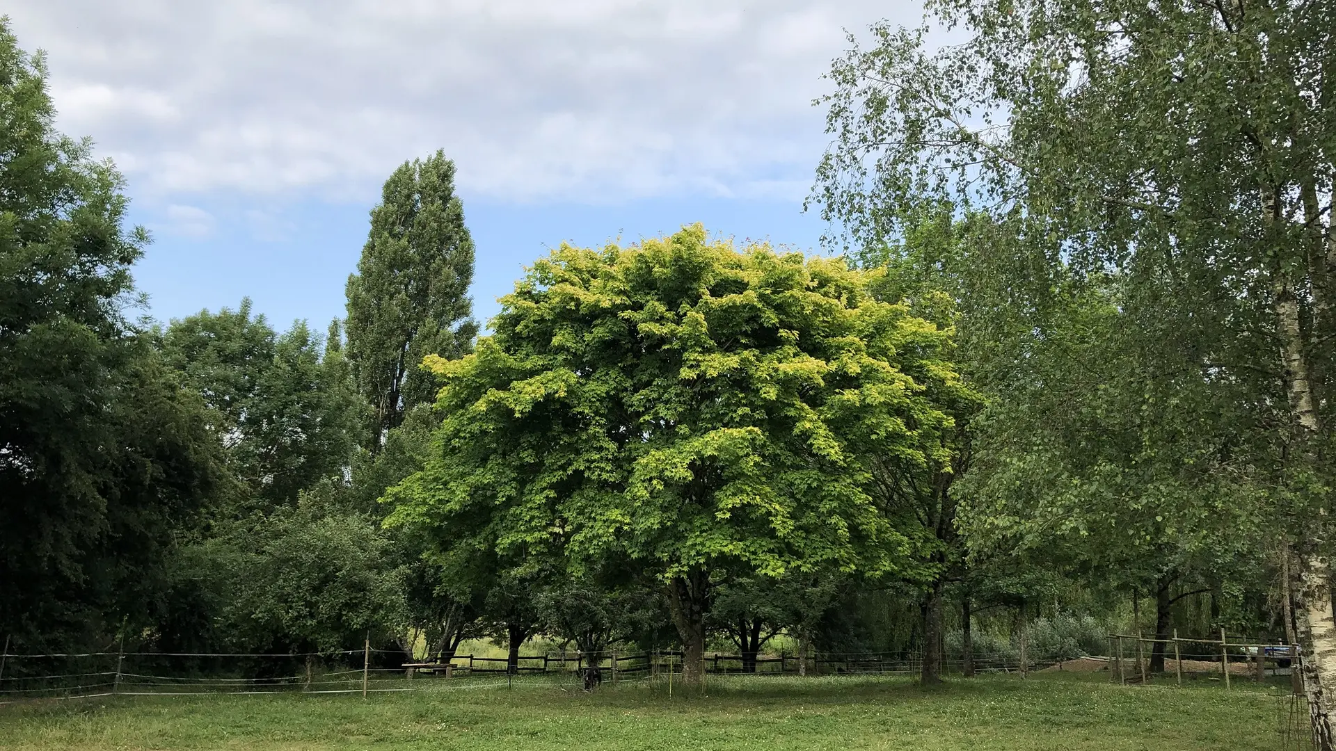 gite du rossignol foussais-payré fontenay-vendee-85240- (21)