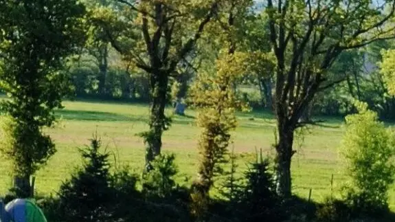 extérieur Aire naturelle de Camping du Joli Pré