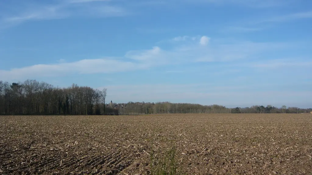 Itinéraire Boucle des 3 cantons de Fercé - Chemin