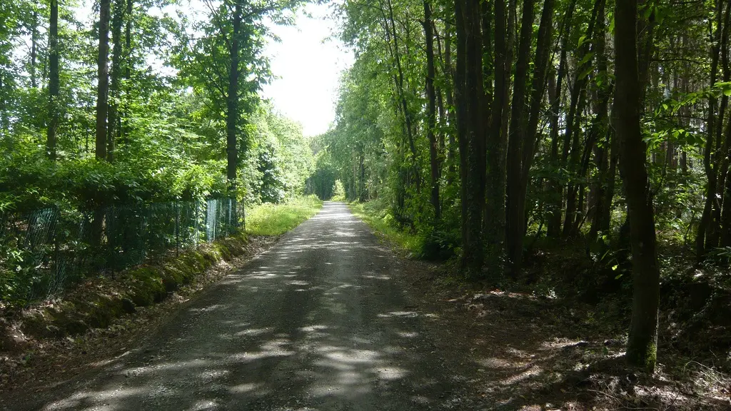 Circuit La Futaie
