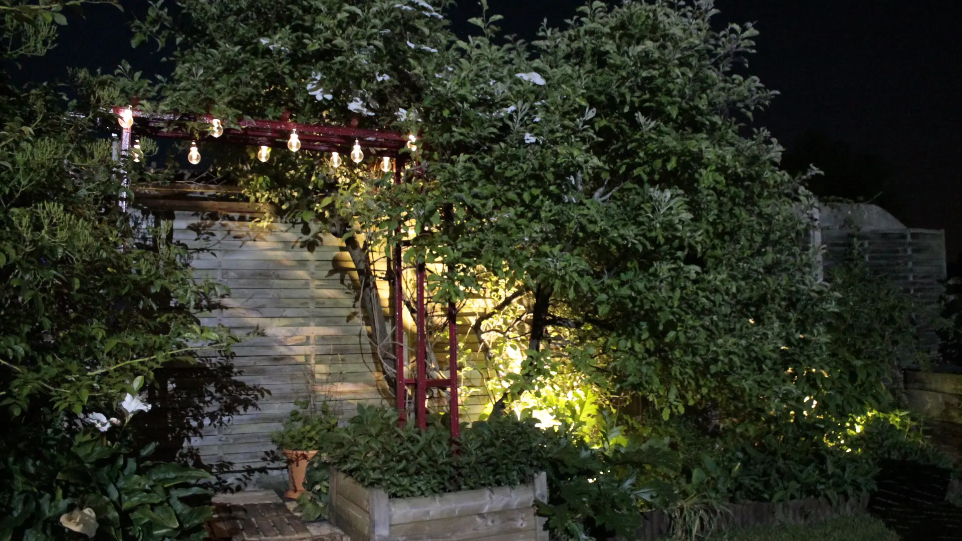 jardin