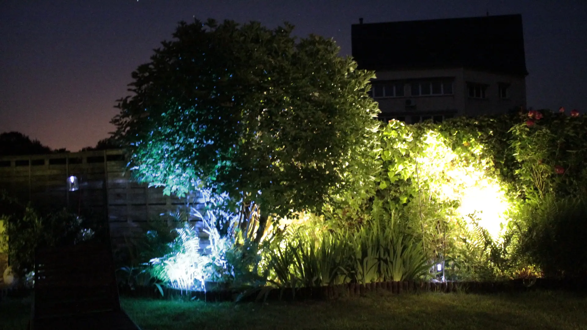 jardin