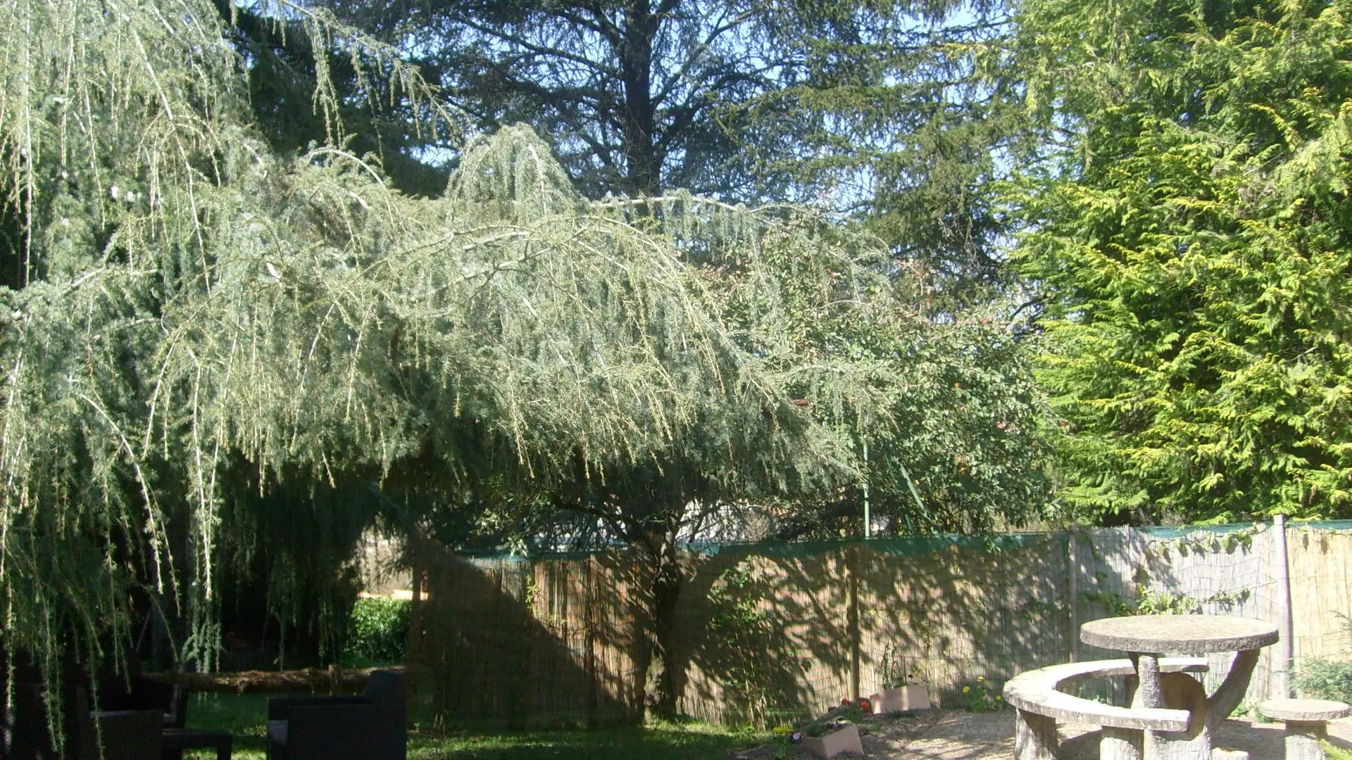 jardin_maison_les cèdres_gîte_location_merventJPG-min