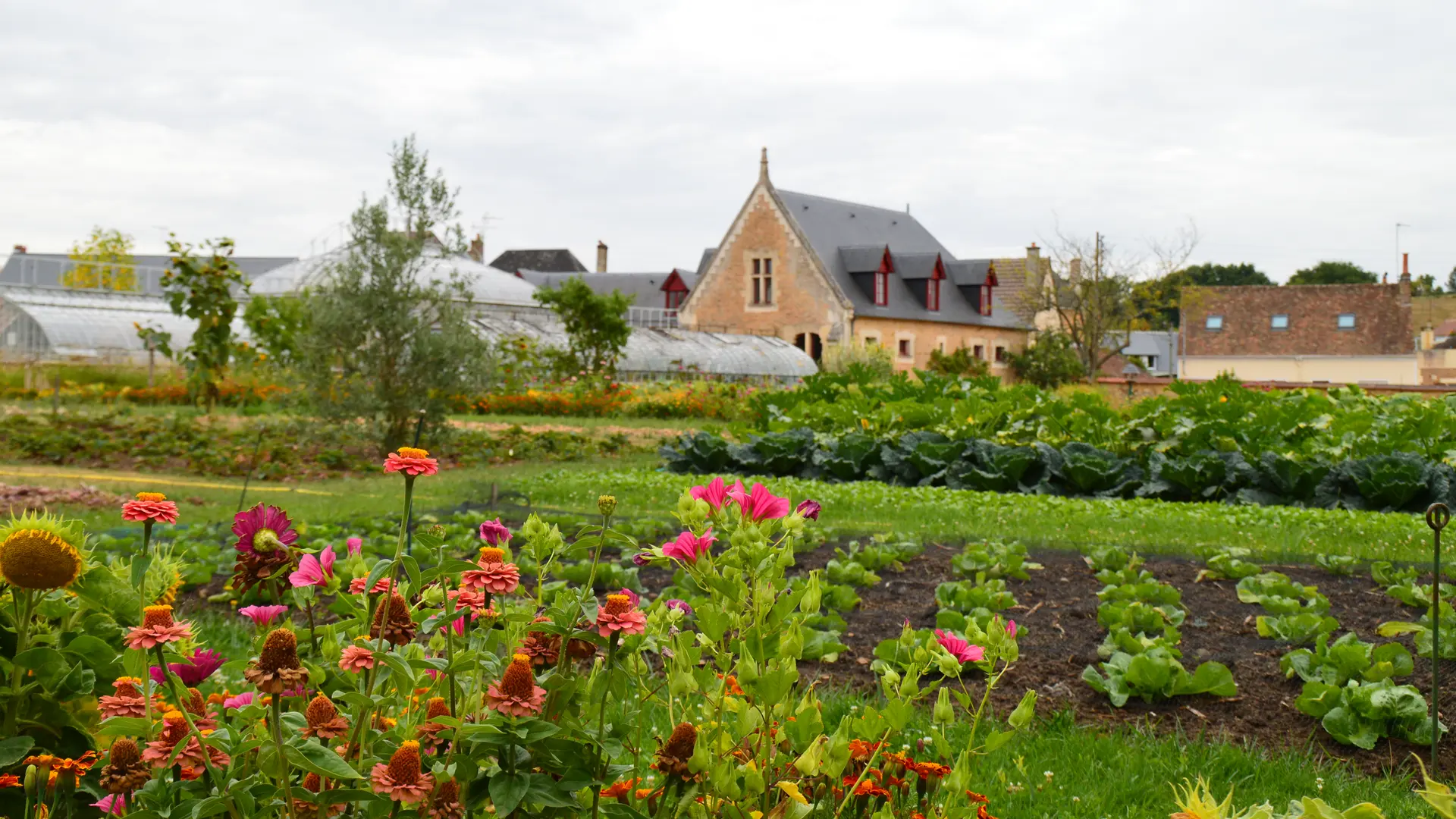 jardin potager