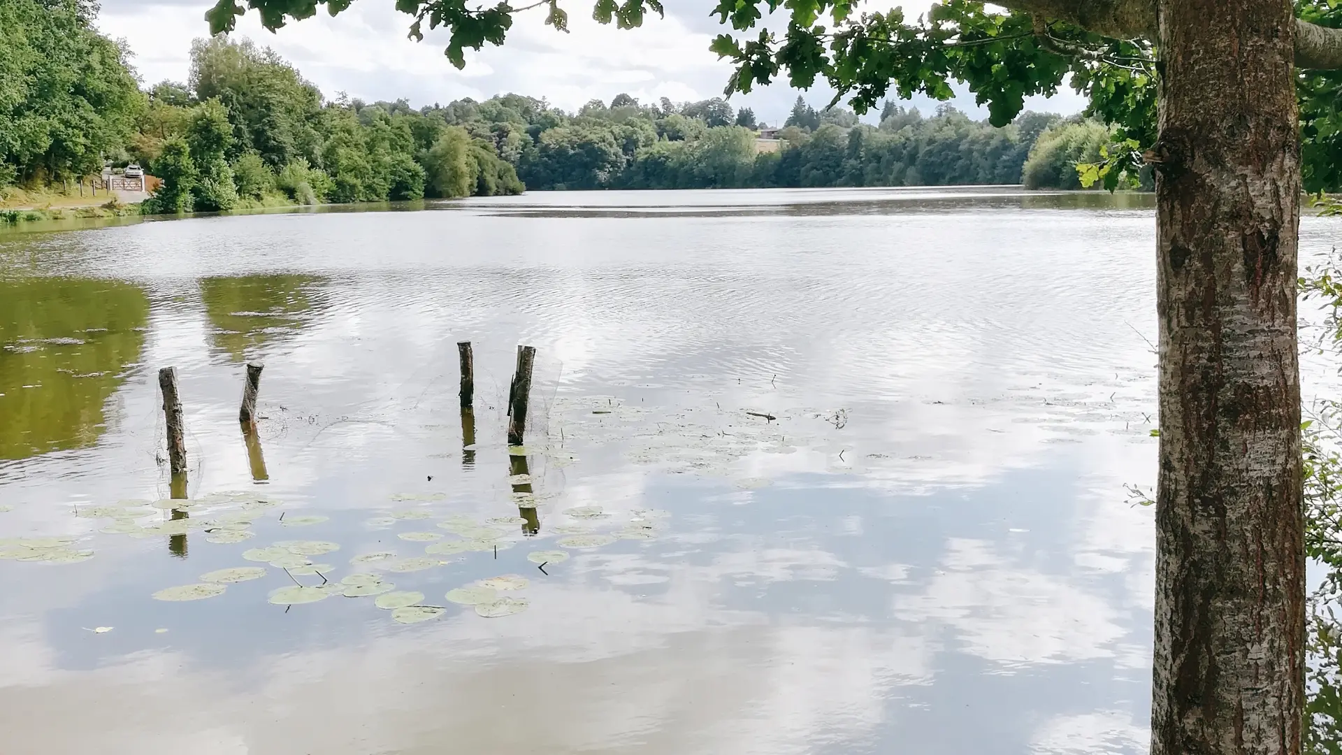 Lac de Haute Mayenne