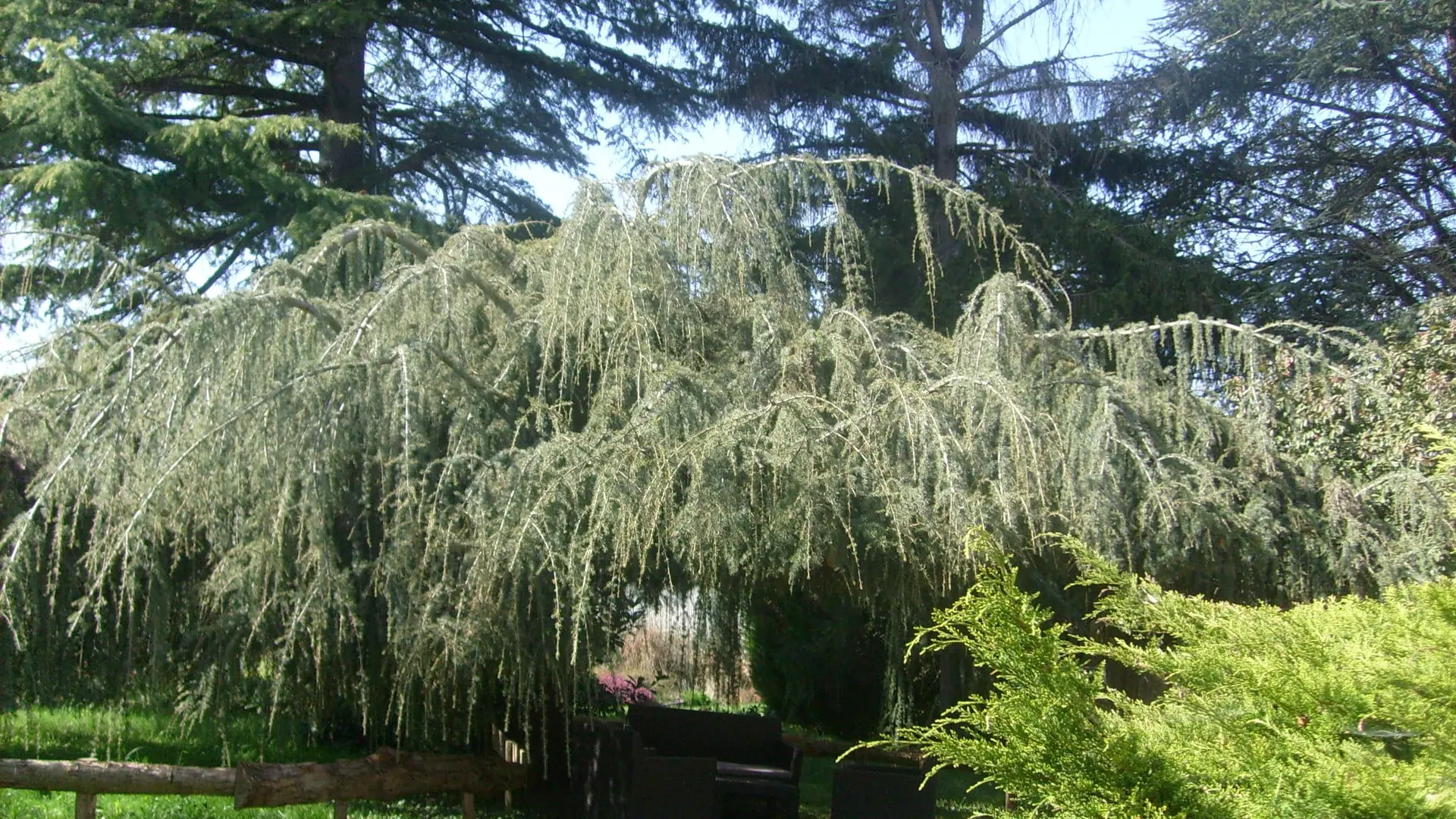 les cèdres_gîte_location_merventJPG-min