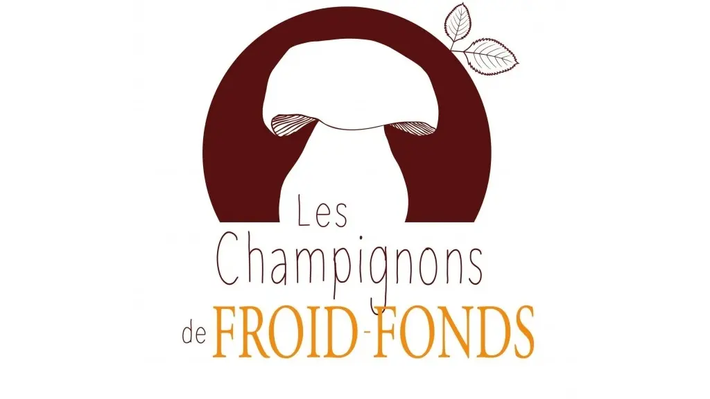 les-champignons-de-froid-fonds-001