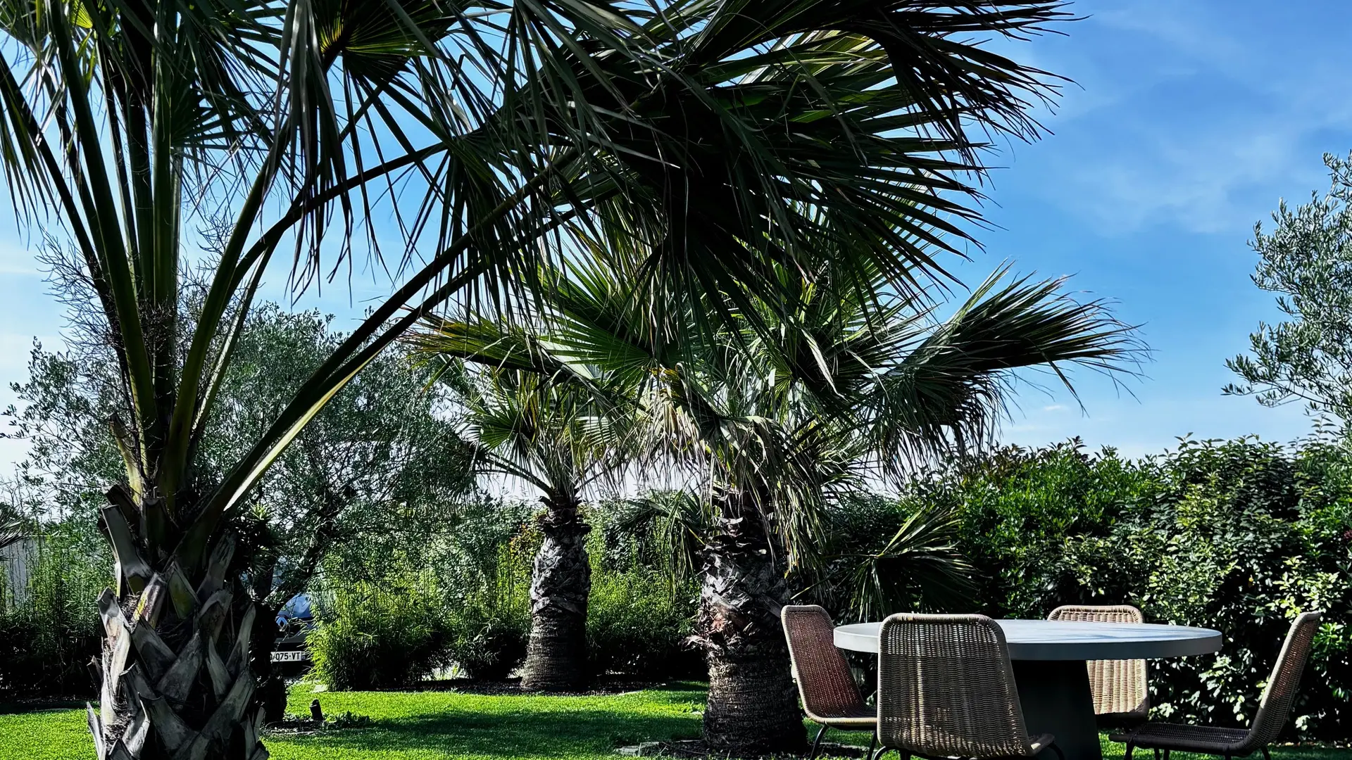 meublé-chez-axel-fontenay-le-comte-vendee-85-2