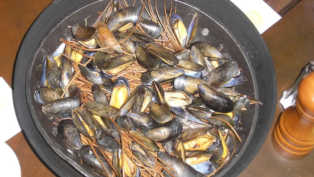 moules-epines-pins