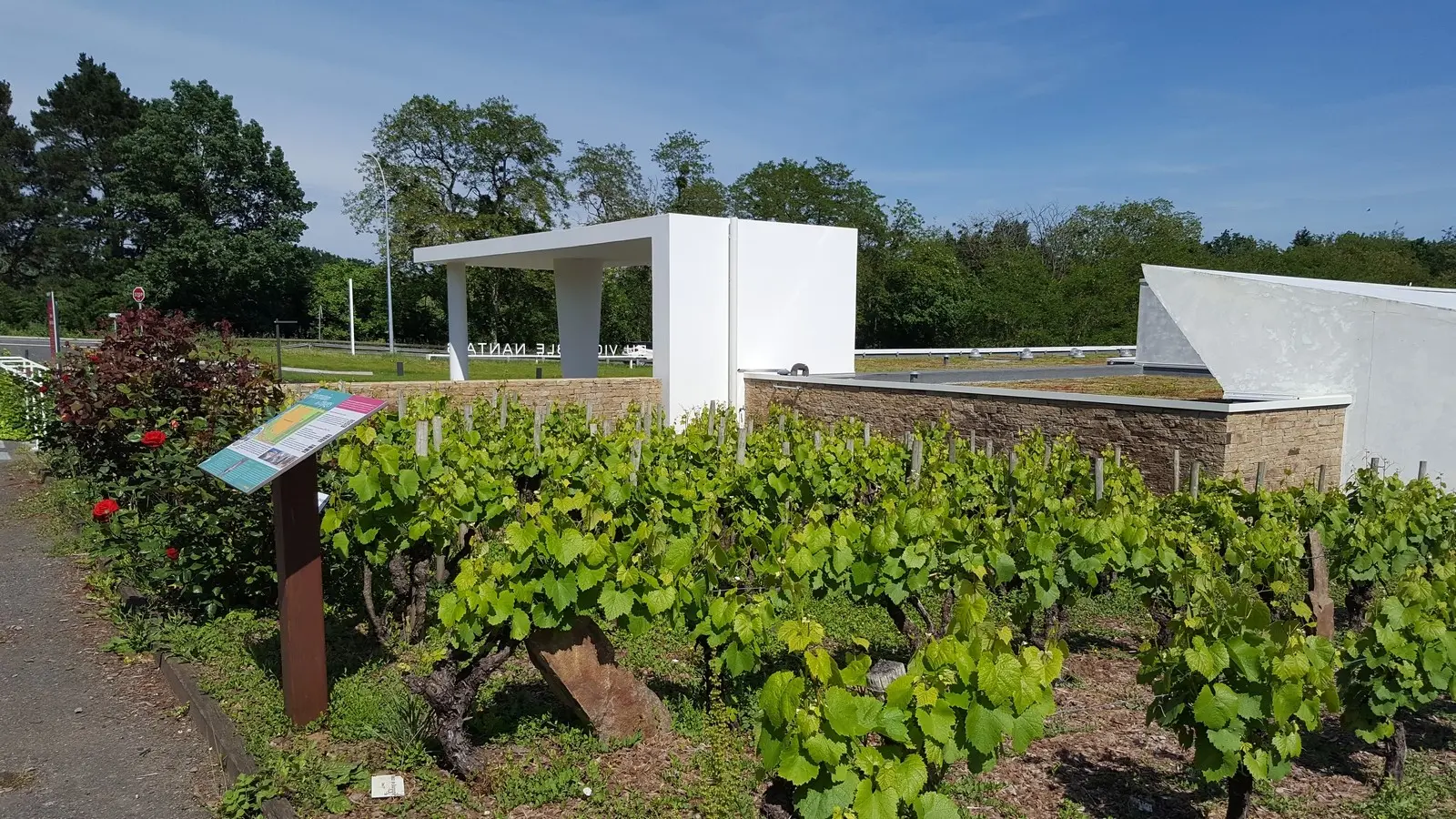 musee du vignoble