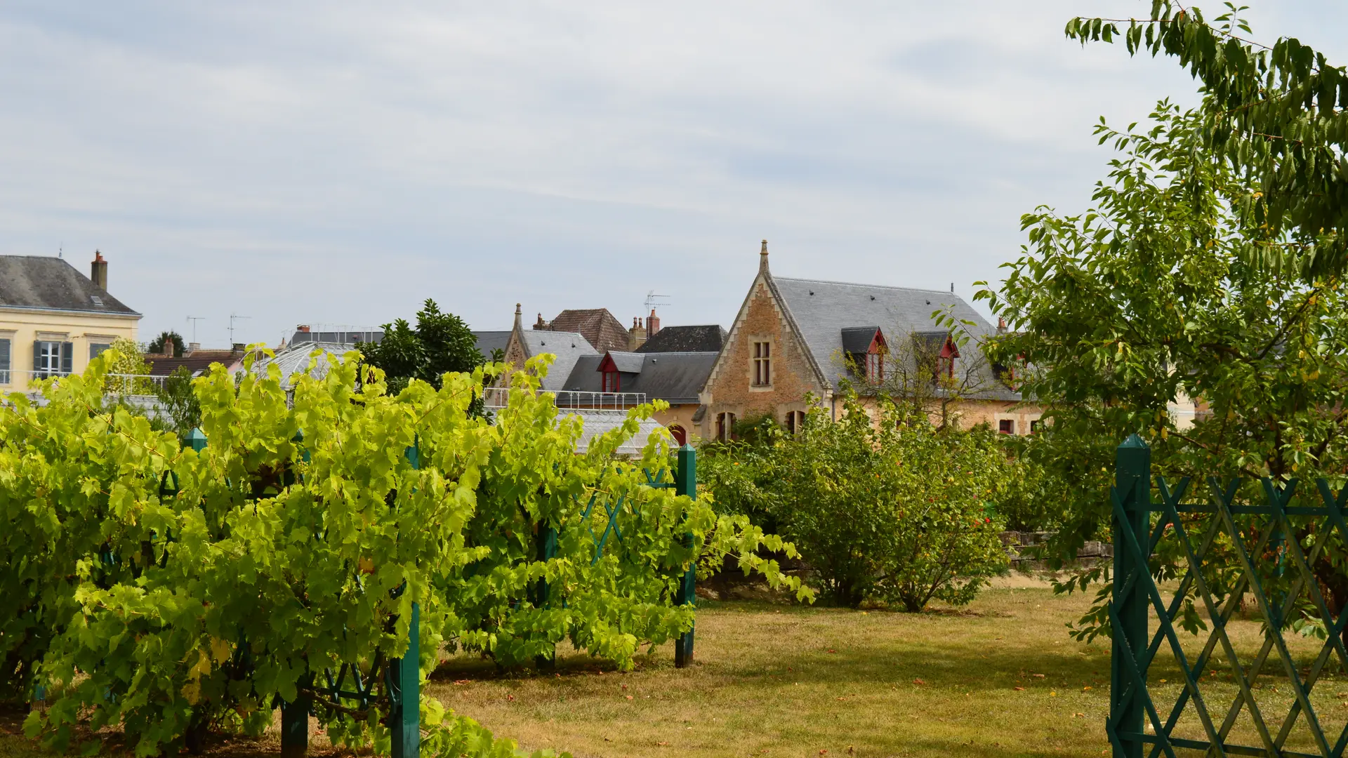 parcelle fruits rouges