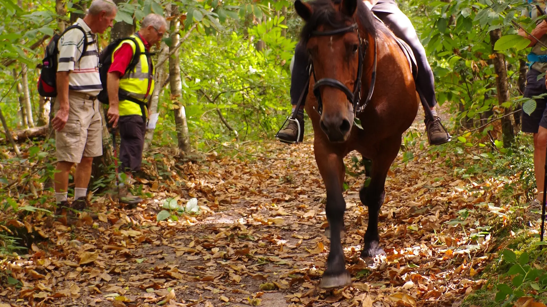 ITI53 - pédestres et cheval