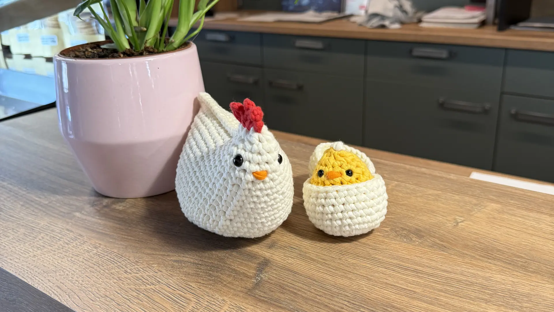 poulettes