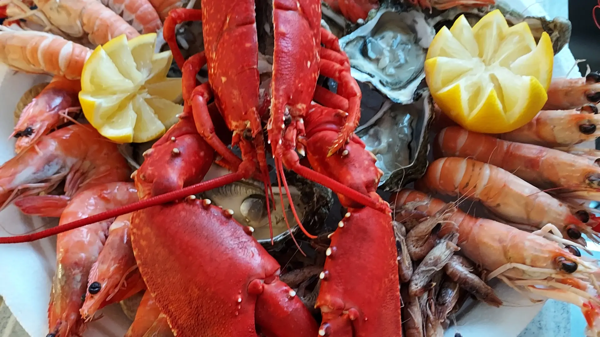 plateau homard