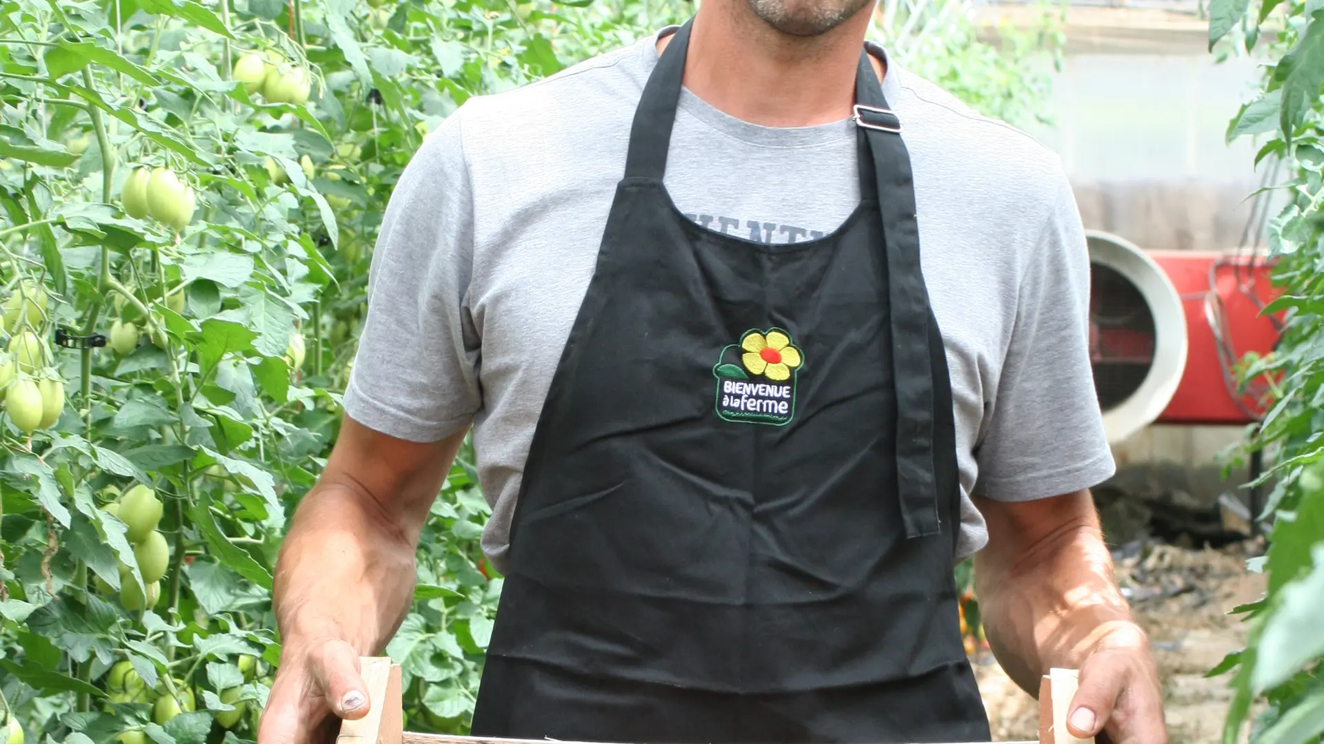 producteur maraicher horticulteur légumes fleurs 53 Mayenne vente directe - Brice MARSOLLIER