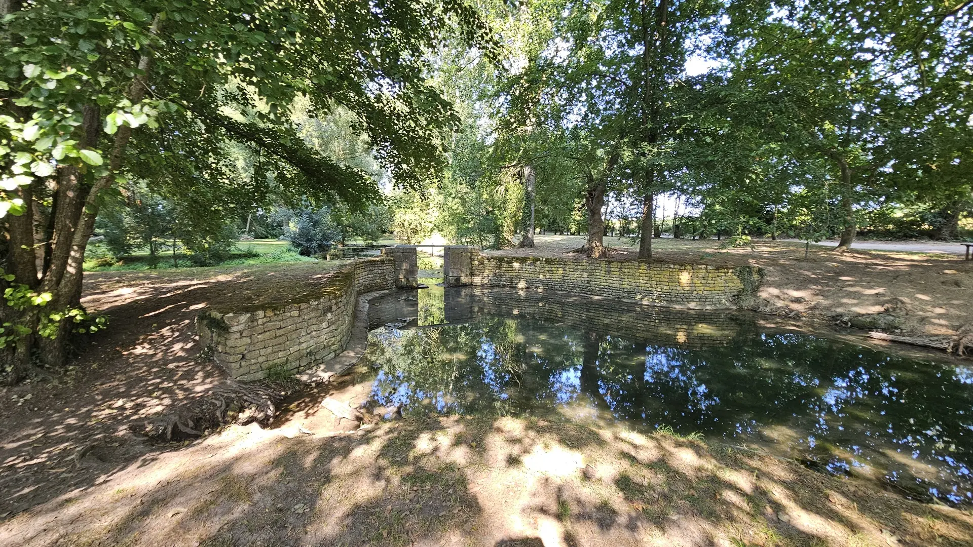 randonnee-pedestre-le-grand-marais-bouille-courdault-vendee-85- (1)