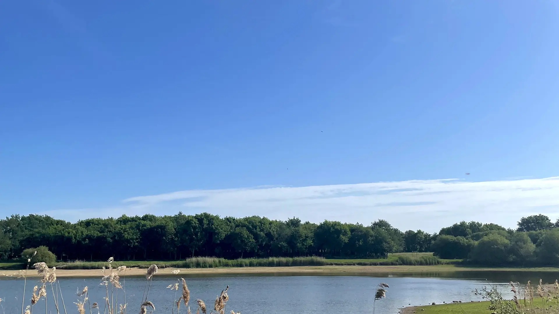 randonnée pédestre les petits gats saint-cyr-des-gats-fontenay-vendee- (2)