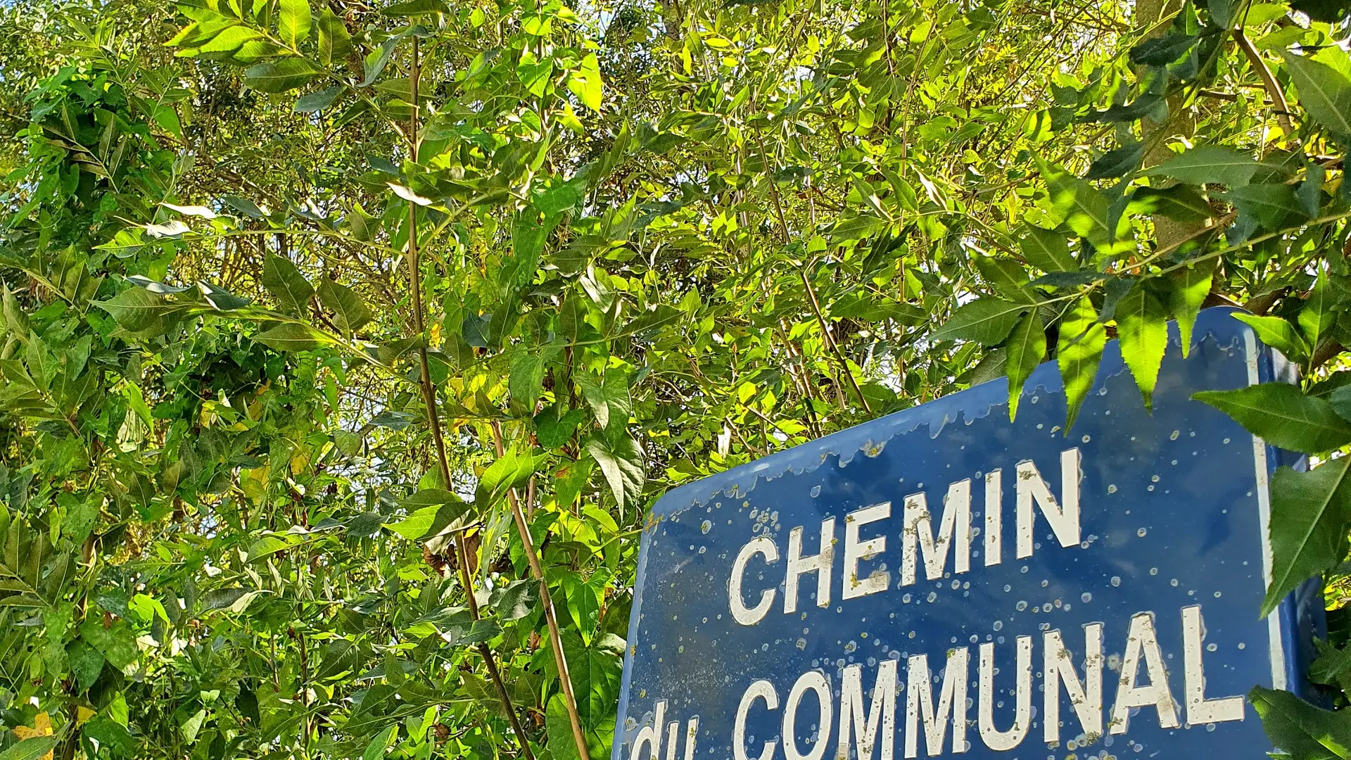randonnée-pédestre-la-corde-mouzeuil-saint-martin-fontenay-vendee-85370-11