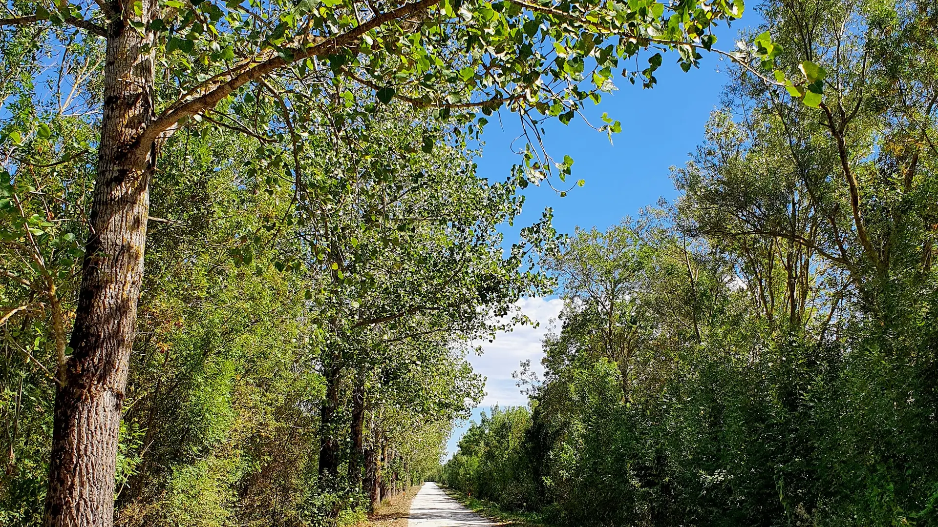 randonnée-pédestre-la-corde-mouzeuil-saint-martin-fontenay-vendee-85370-10