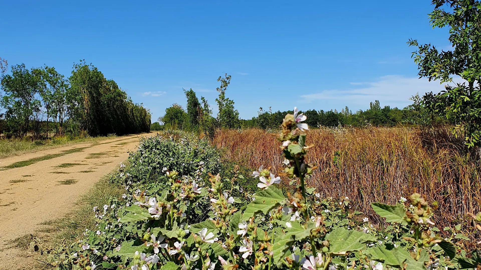 randonnée-pédestre-la-corde-mouzeuil-saint-martin-fontenay-vendee-85370-8