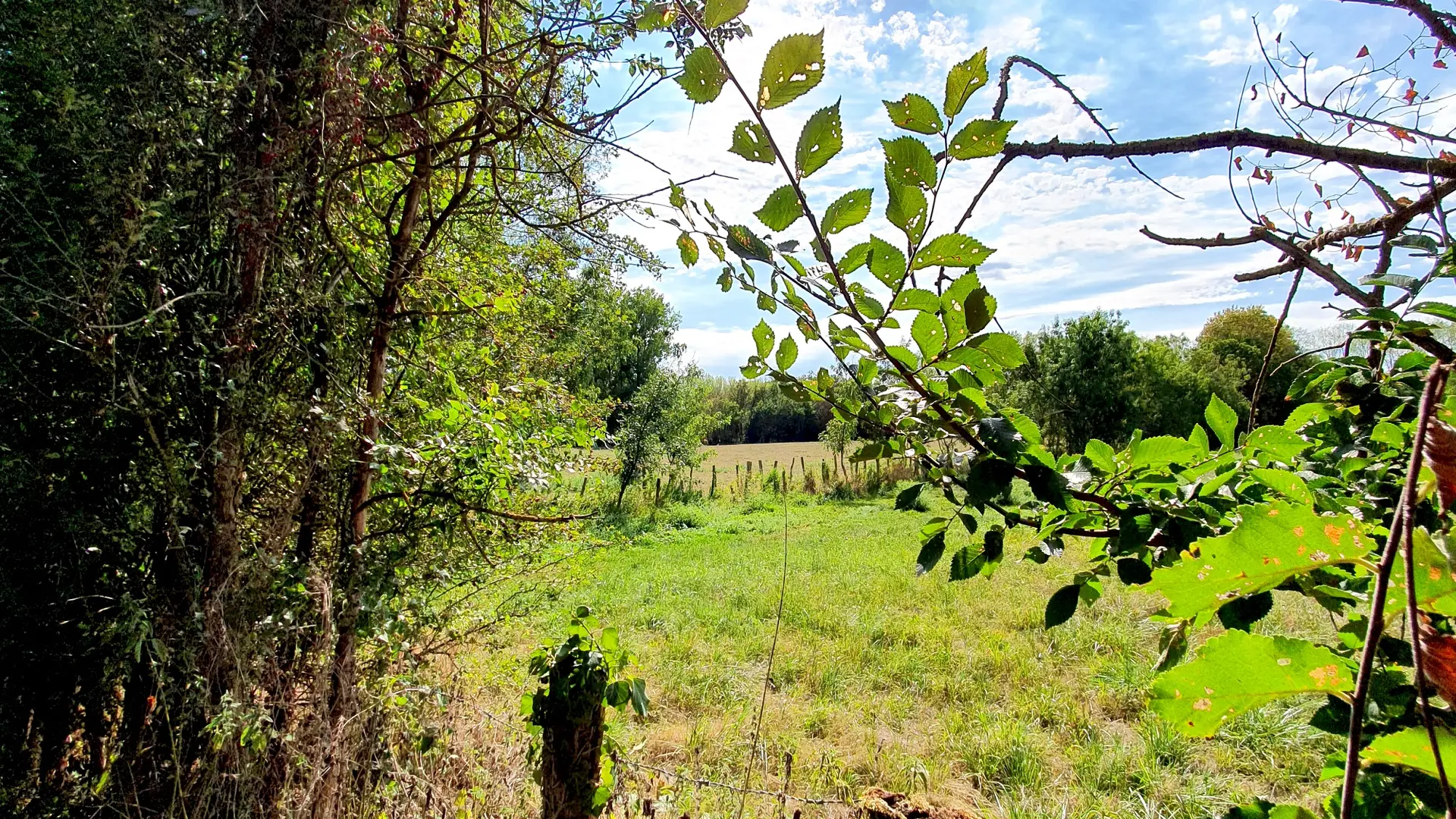 randonnée-pédestre-la-corde-mouzeuil-saint-martin-fontenay-vendee-85370-7