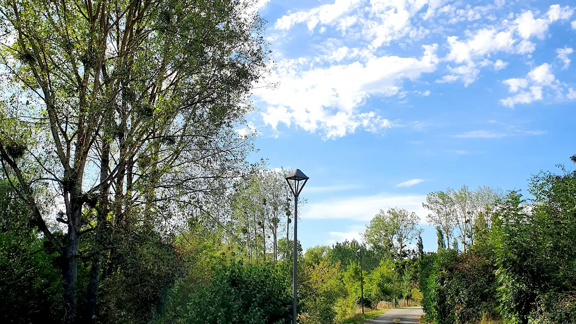 randonnée-pédestre-la-corde-mouzeuil-saint-martin-fontenay-vendee-85370-17