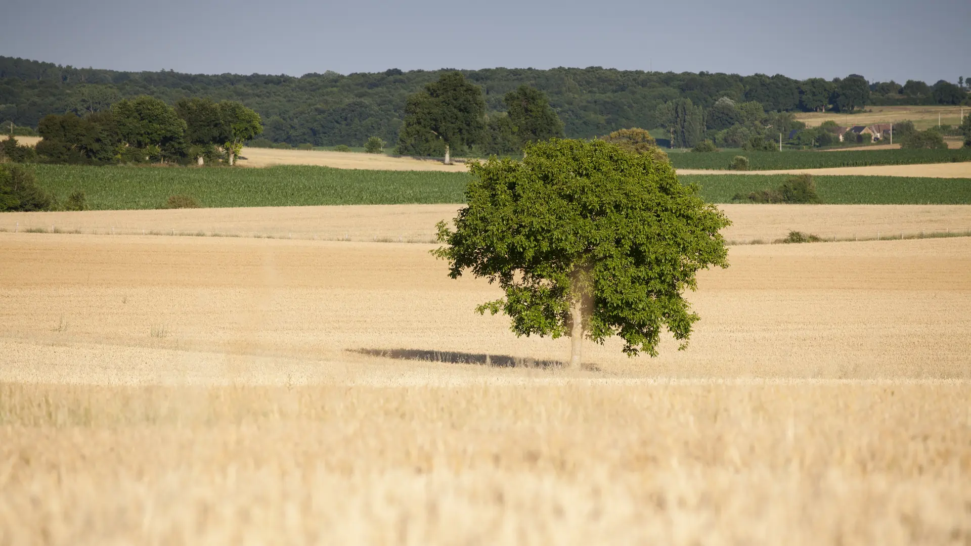 saint pierre des bois_MG_2343