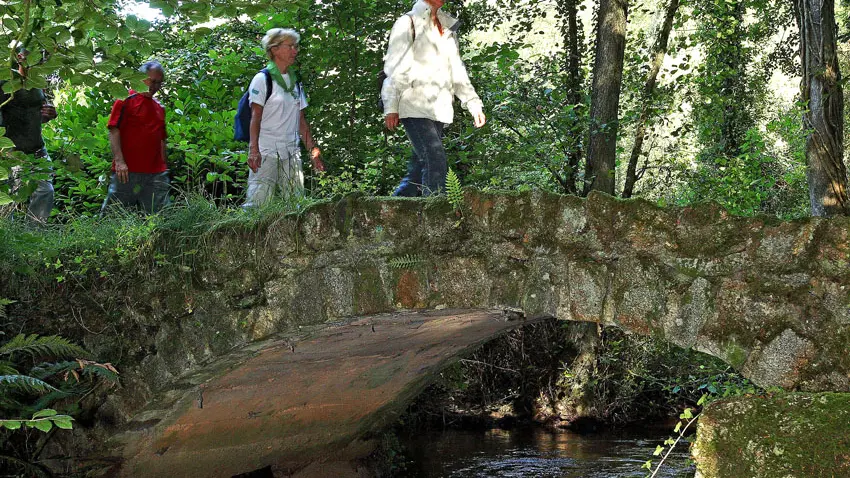 sentier-d-interpretation-arboretum-pontmain-53-iti-cp greboval (12)