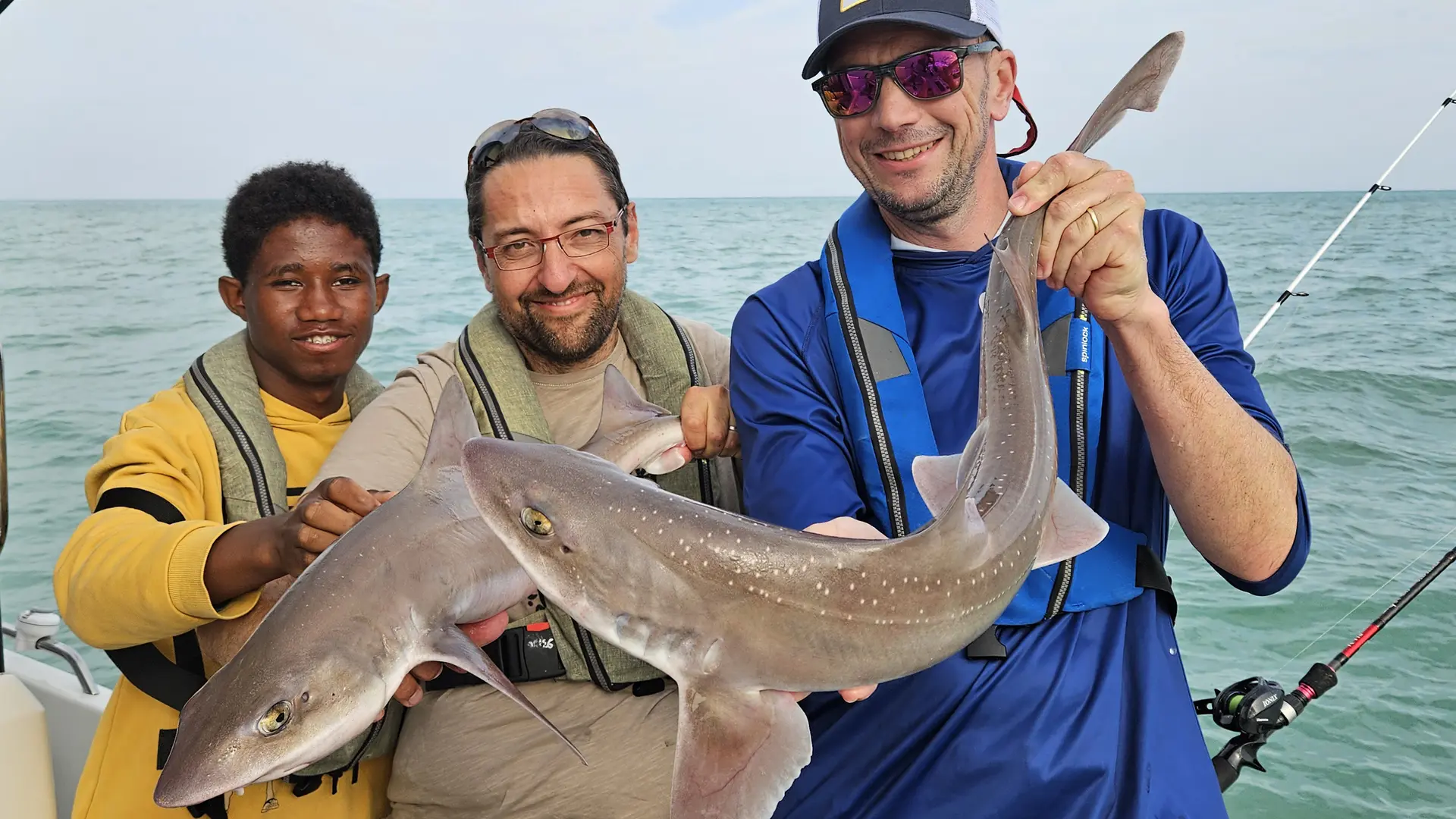 Pêche des émissoles le long de la côte d'Albâtre