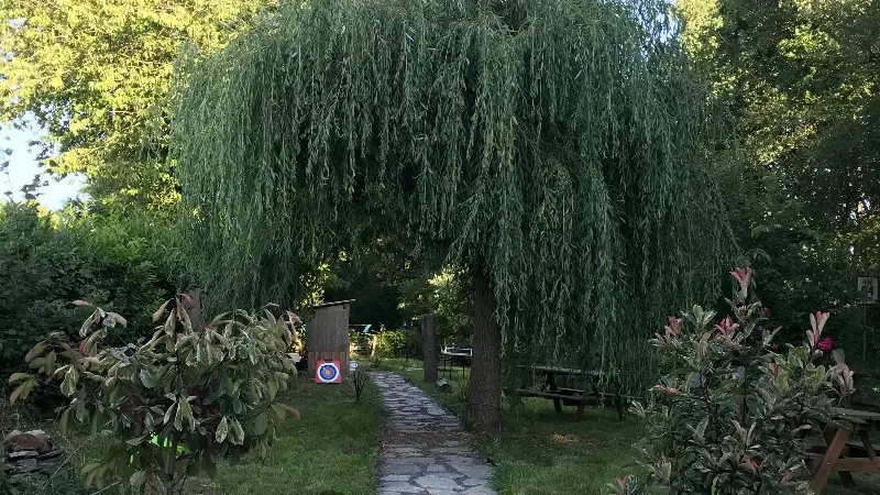 4 Les Racines du Goût
