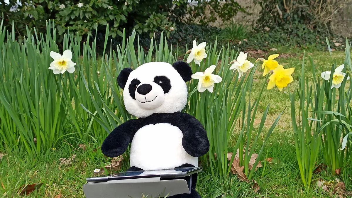 Panda Motion