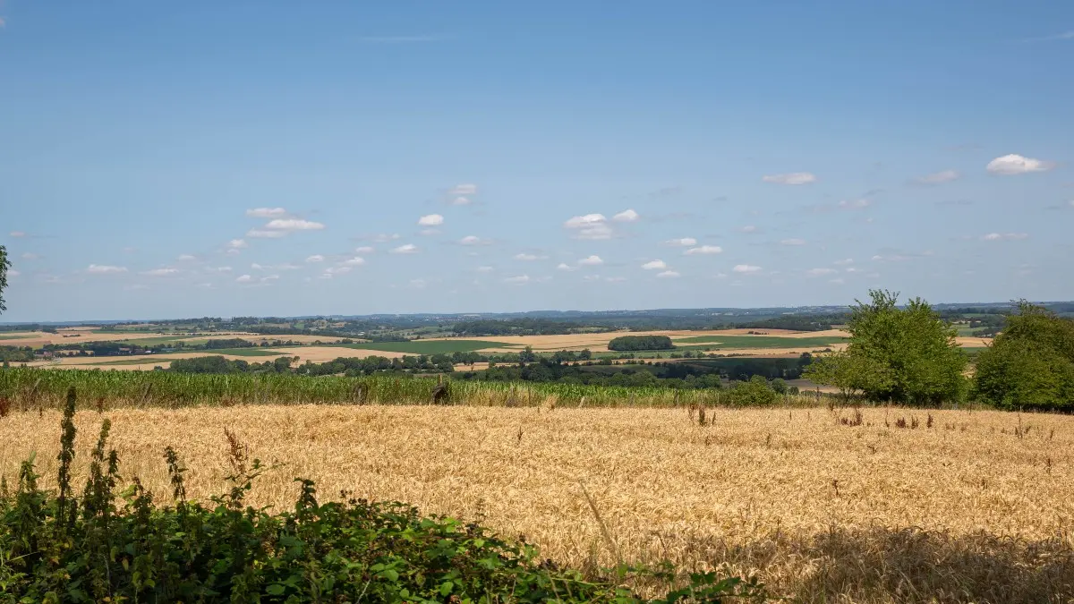 Paysage brayon