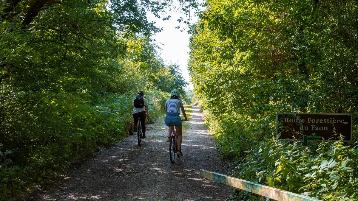 A la découverte de la forêt de Lyons à VTT