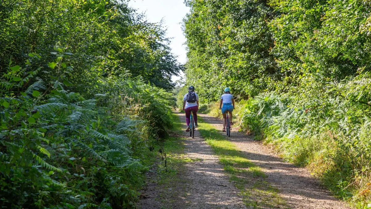 La forêt de Lyons à vélo