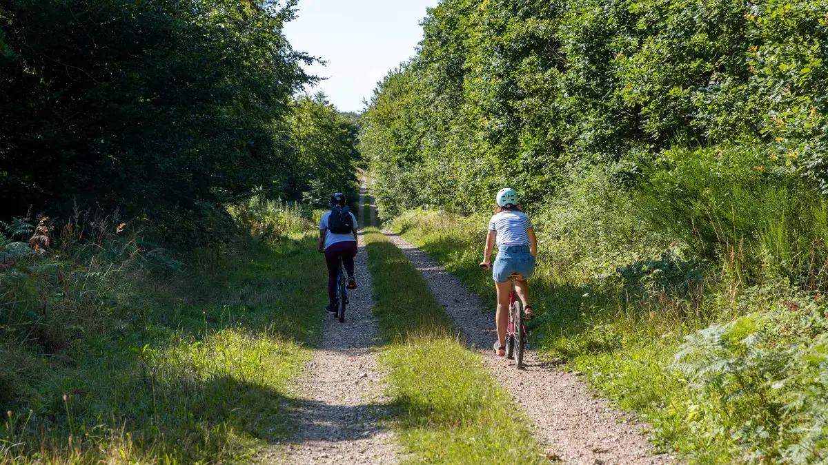 La forêt de Lyons à VTT