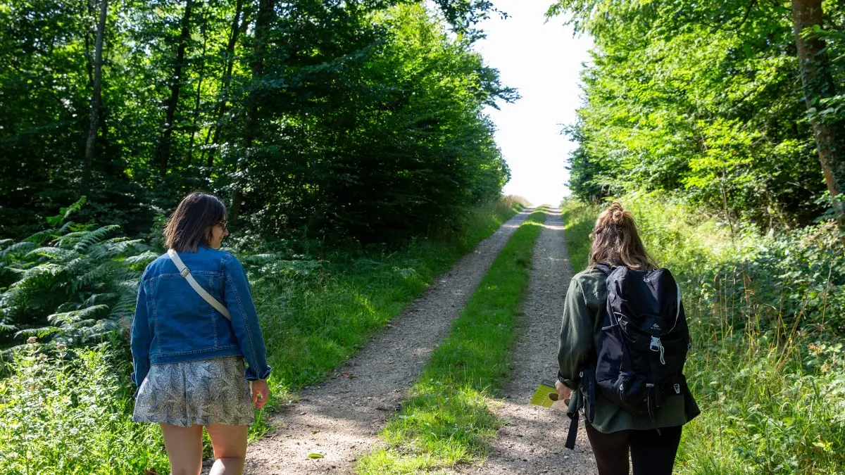 Randonnée dans la forêt de Lyons
