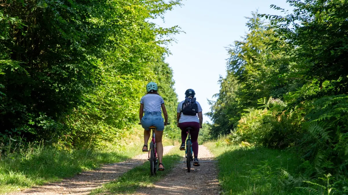 A VTT dans la forêt de Lyons
