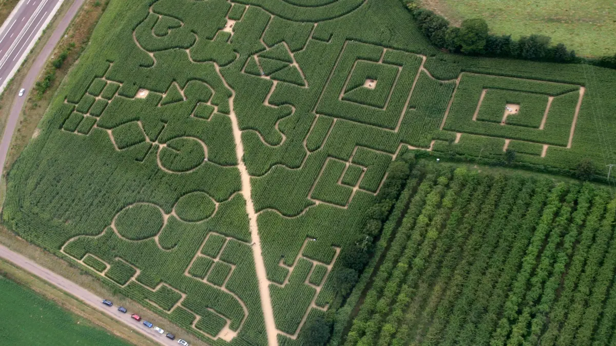 Labyrinthe de l'Estuaire