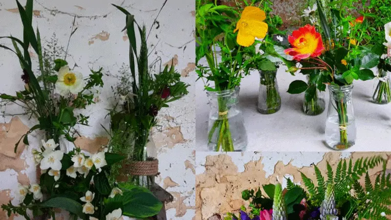 600x800-Vent-dans-les-Bottes-5