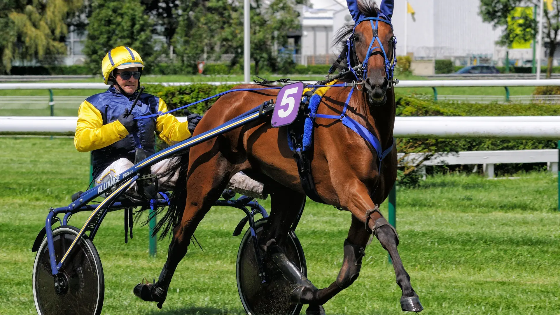 Hippodrome de Dieppe