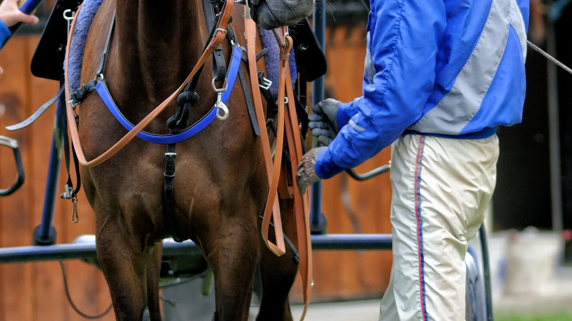 Hippodrome de Dieppe