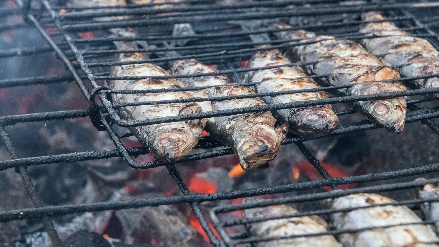 Harengs grillés dans les rues