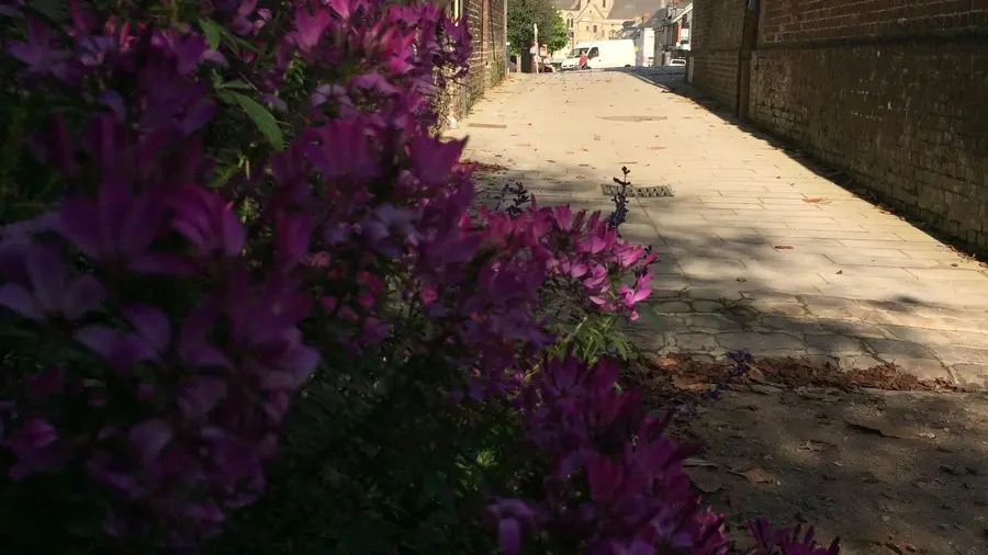 Entrée du jardin depuis la Place de la République