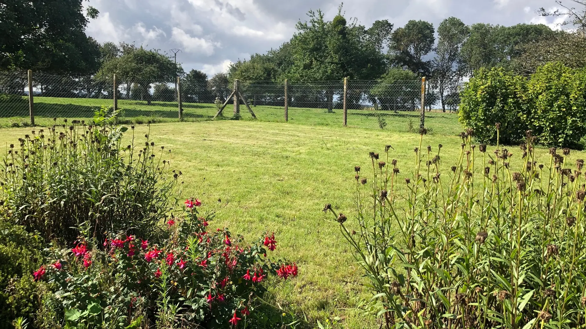 Vue depuis la veranda, jardin clos sans vis à vis