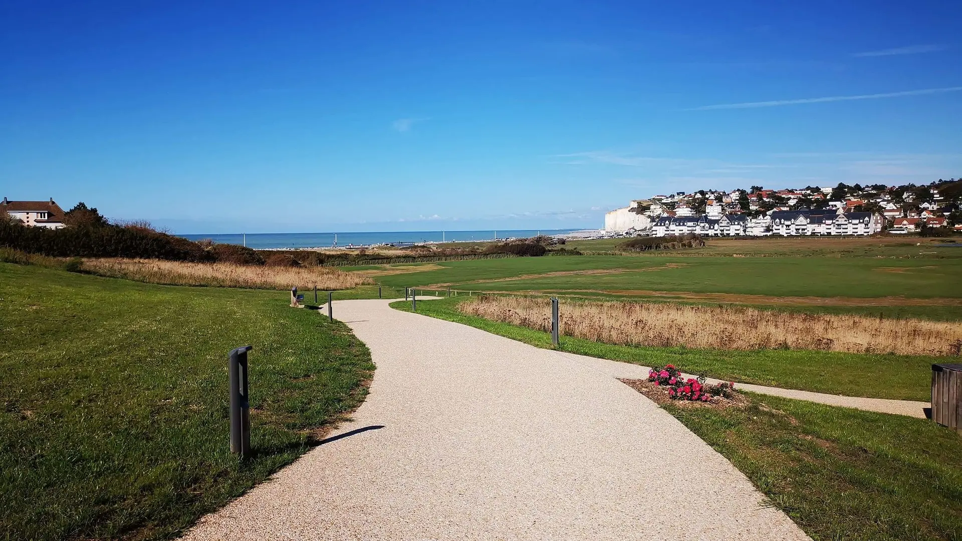 119487971_244992923478438_359763071819085744_n