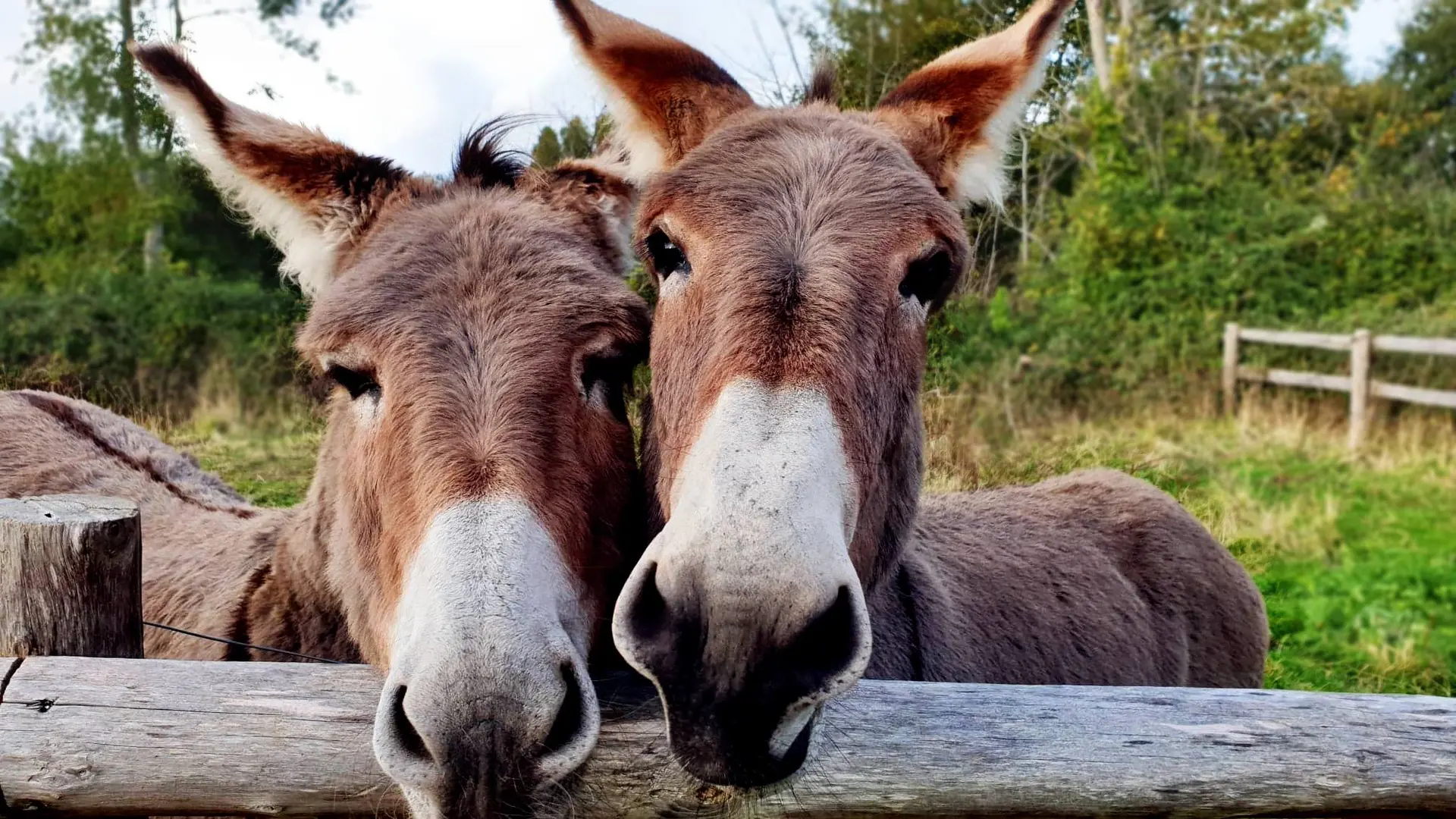 123650170_3662362133809482_3816120357541483725_n