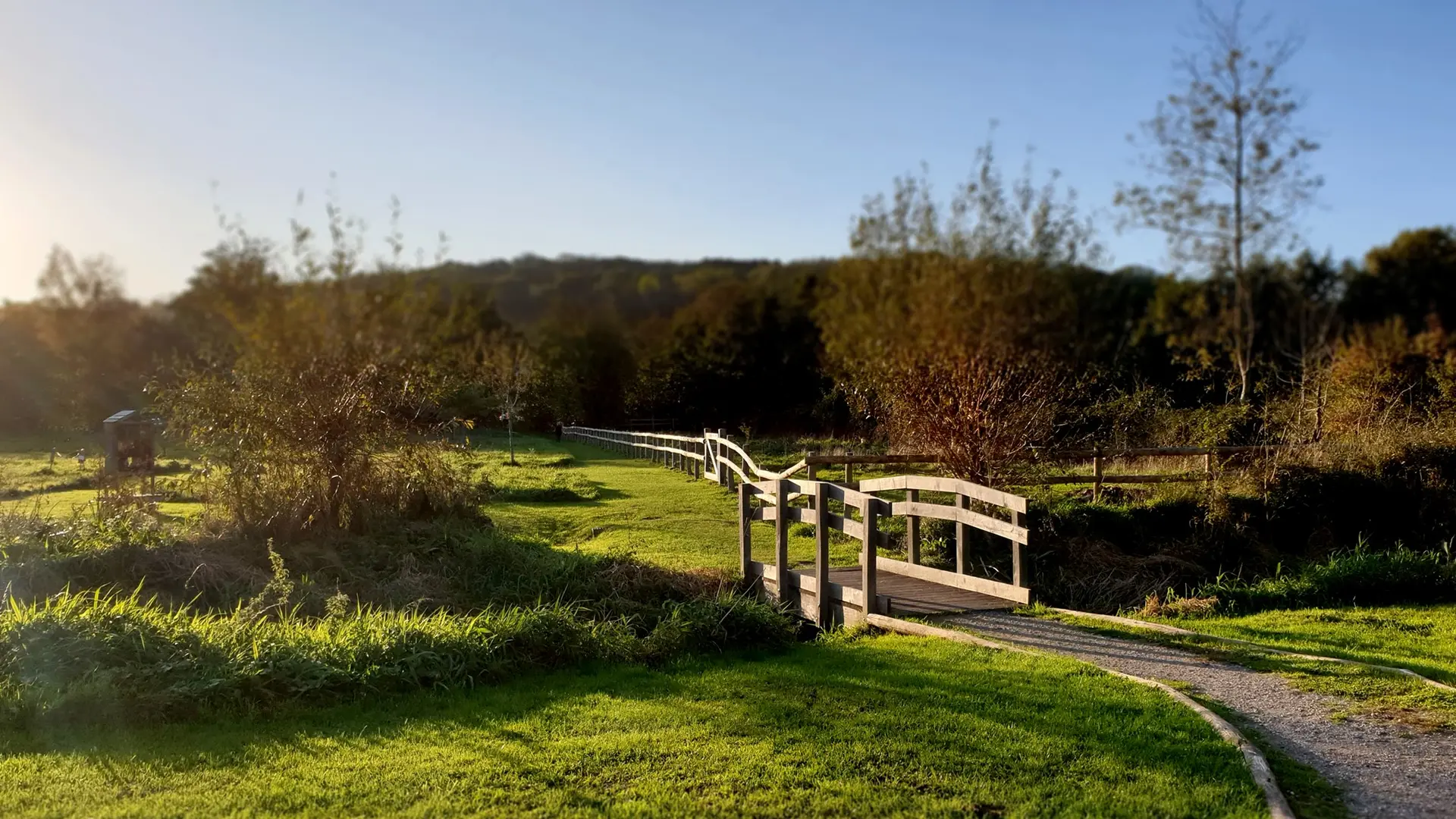 123914198_3662362343809461_4652976698766682221_n