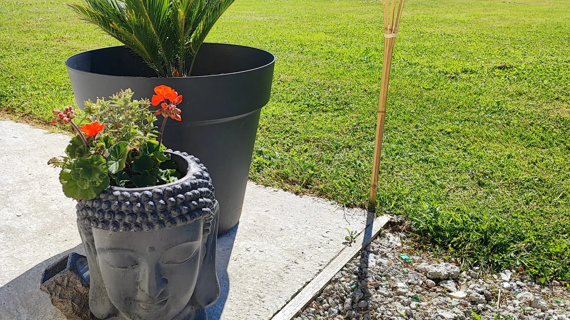 Le jardin - Les enfants pourront profiter du jardin