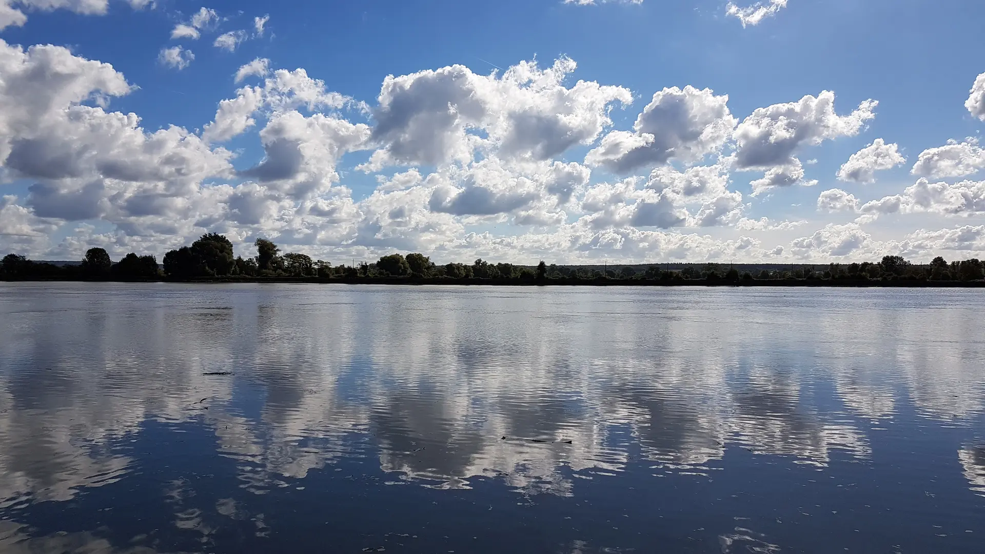 Gite Villequier Le 1882 Les bords de Seine accessibles à 30 mètres